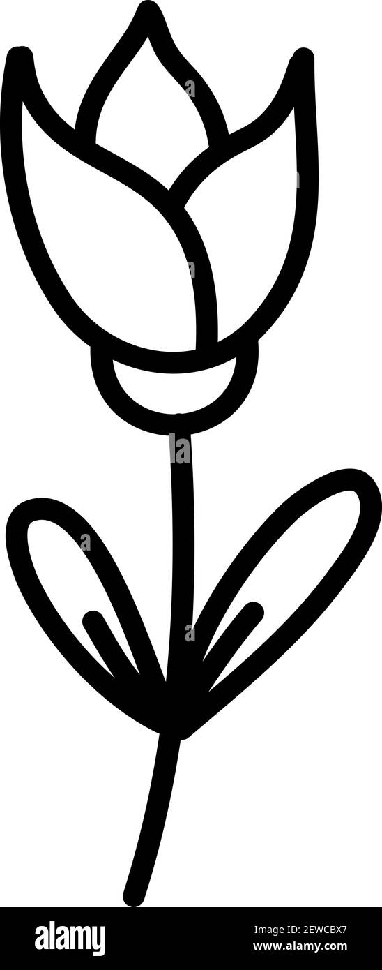 Elegante Blume, Illustration, Vektor auf weißem Hintergrund. Stock Vektor