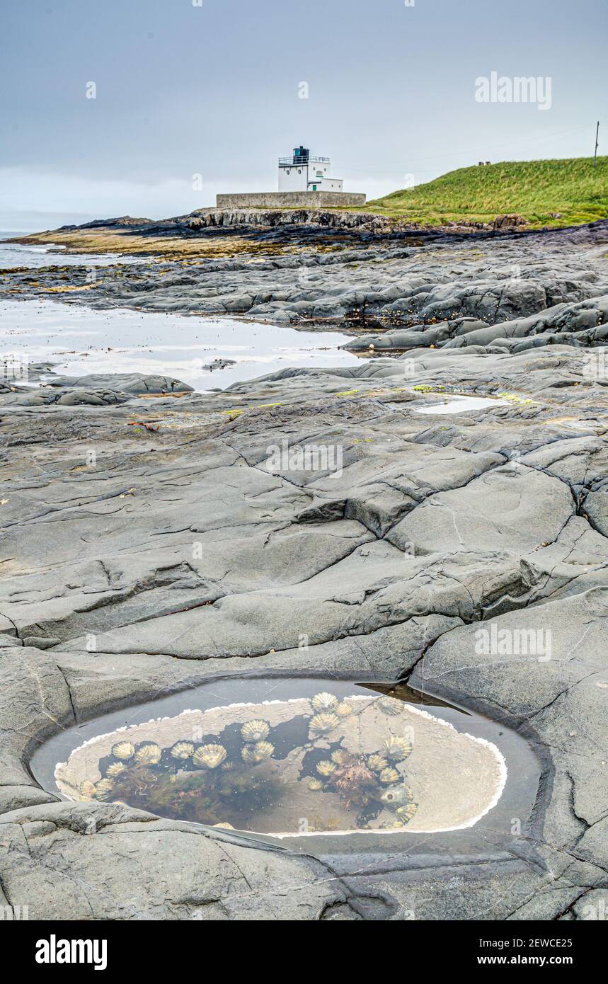 Eine vertikale Aufnahme einer felsigen Küste und Felsenpools mit regnerischem Wetter, einem Leuchtturm und einem grünen Feld im Hintergrund in Northumberland County Stockfoto