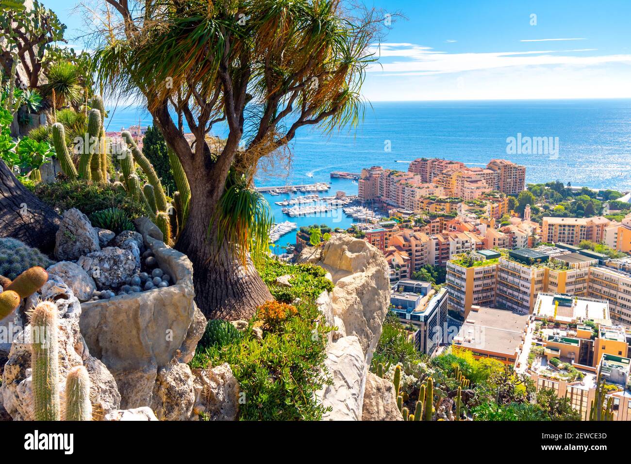 Blick von den exotischen Gärten am Hang des Mittelmeers und der Stadt Monte Carlo, Monaco. Stockfoto