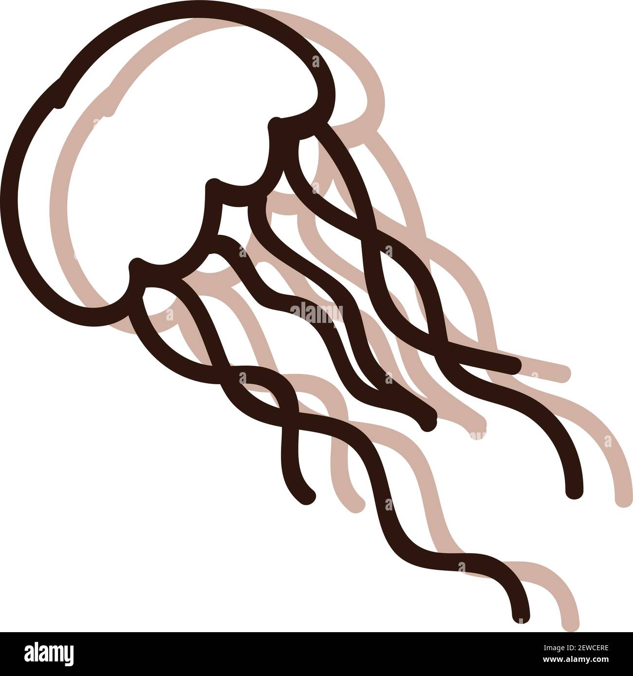 Quallen, Illustration, Vektor auf weißem Hintergrund. Stock Vektor