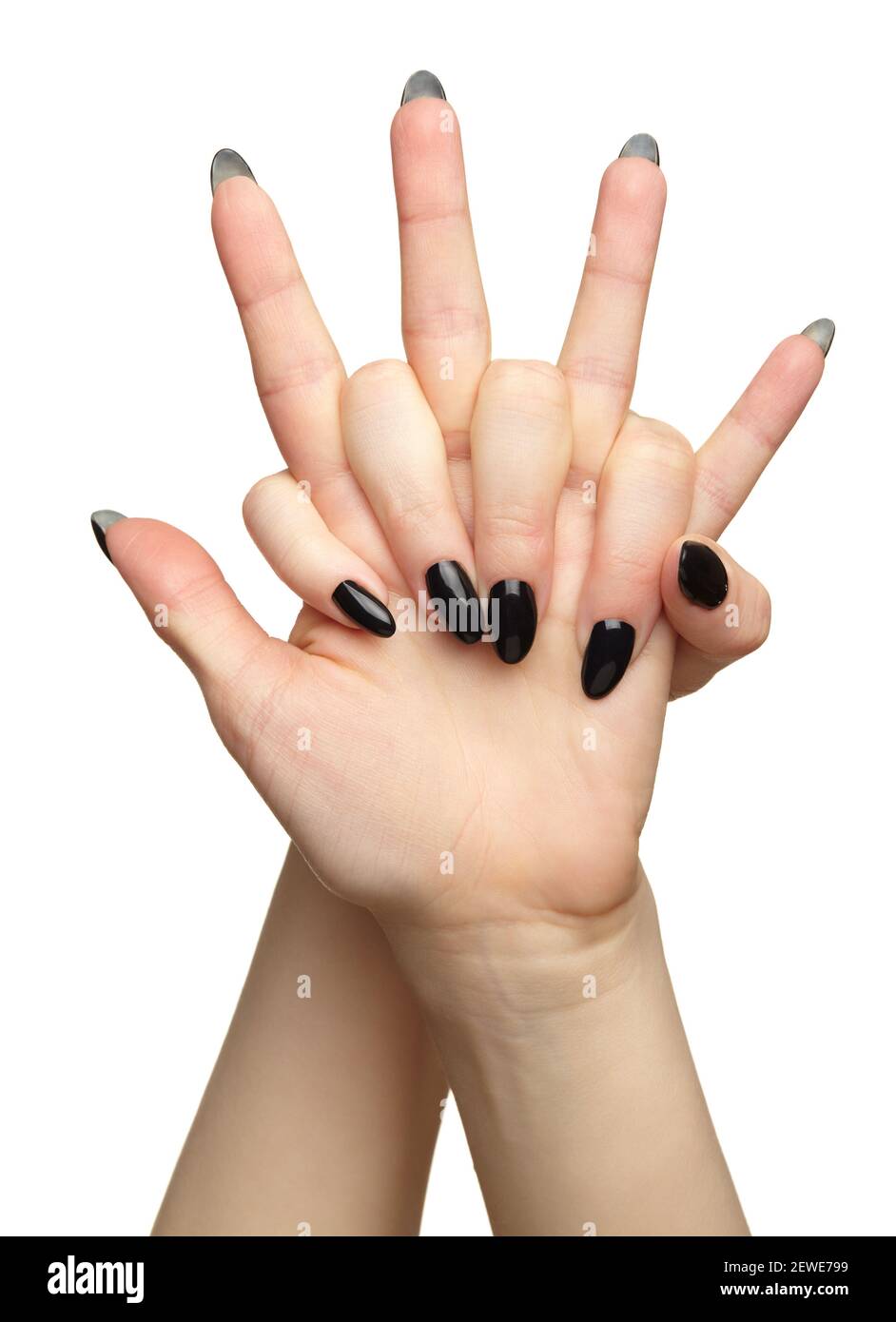 Weibliche Hände mit schwarzen Nägeln Maniküre. Isoliert auf weißem Hintergrund. Stockfoto