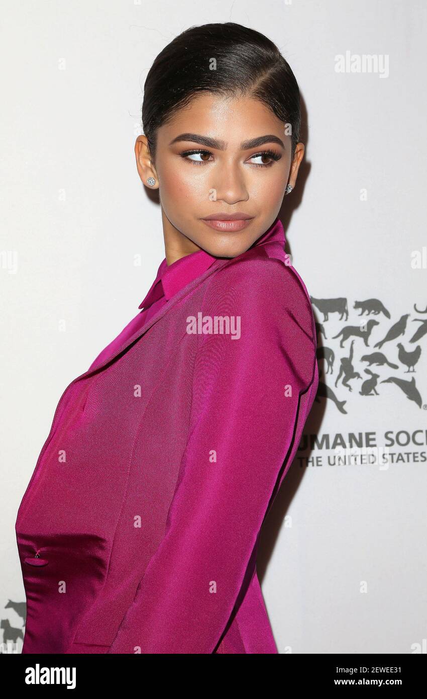 Zendaya, Zendaya Coleman Teilnahme an der Humane Society of the United States' an der Rescue Gala in den Paramount Studios in Los Angeles, USA. Stockfoto