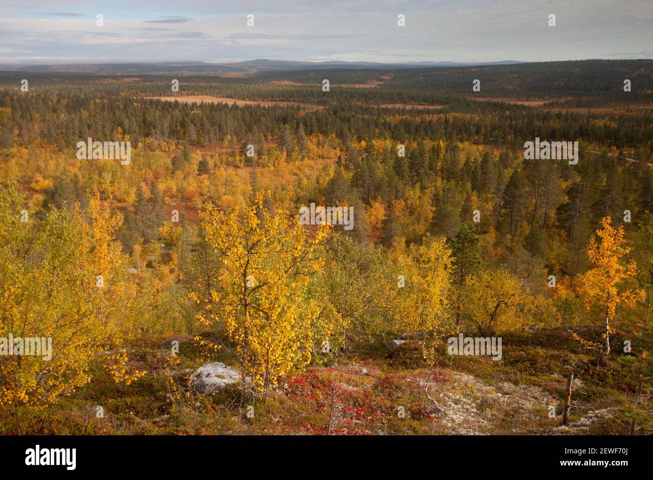 Blick vom Jyppyrä-Hügel Stockfoto