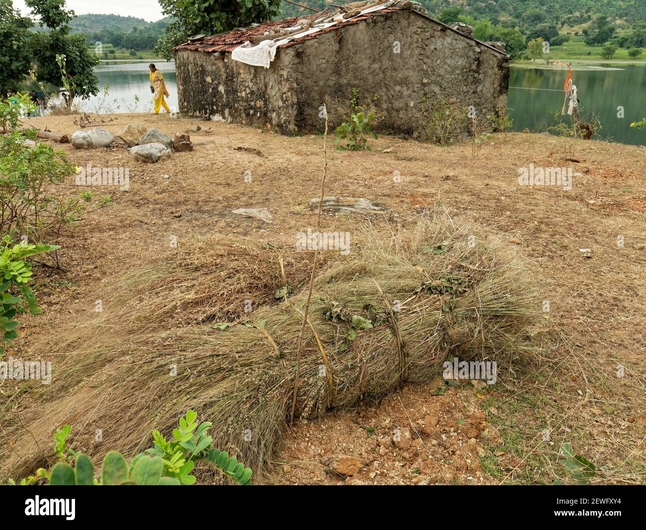 29 Okt 2019 Unidentifizierte Dame, die durch kleines Fischerhaus aufwacht Am See innerhalb Aravali Hills genistet.Near Poshina North Gujarat Indien Stockfoto