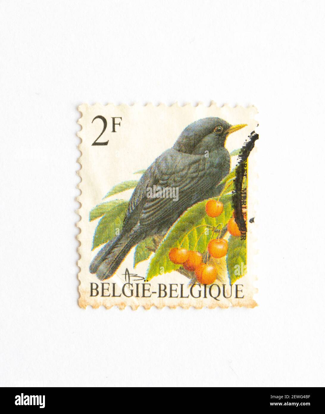 03.03.2021 İstanbul Türkei. Briefmarke. Belgien Briefmarke. Vögel um 1992. Stockfoto