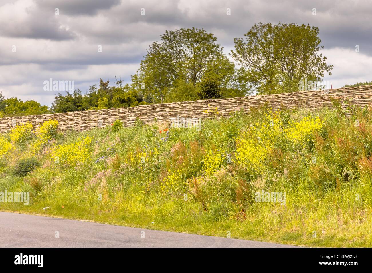 Ökologische Schallmauer Erdwand mit Weidenzaun von Weidenzweigen. Blumen und Bäume wachsen auf dem Deich mit Vegetation. Niederlande. Stockfoto