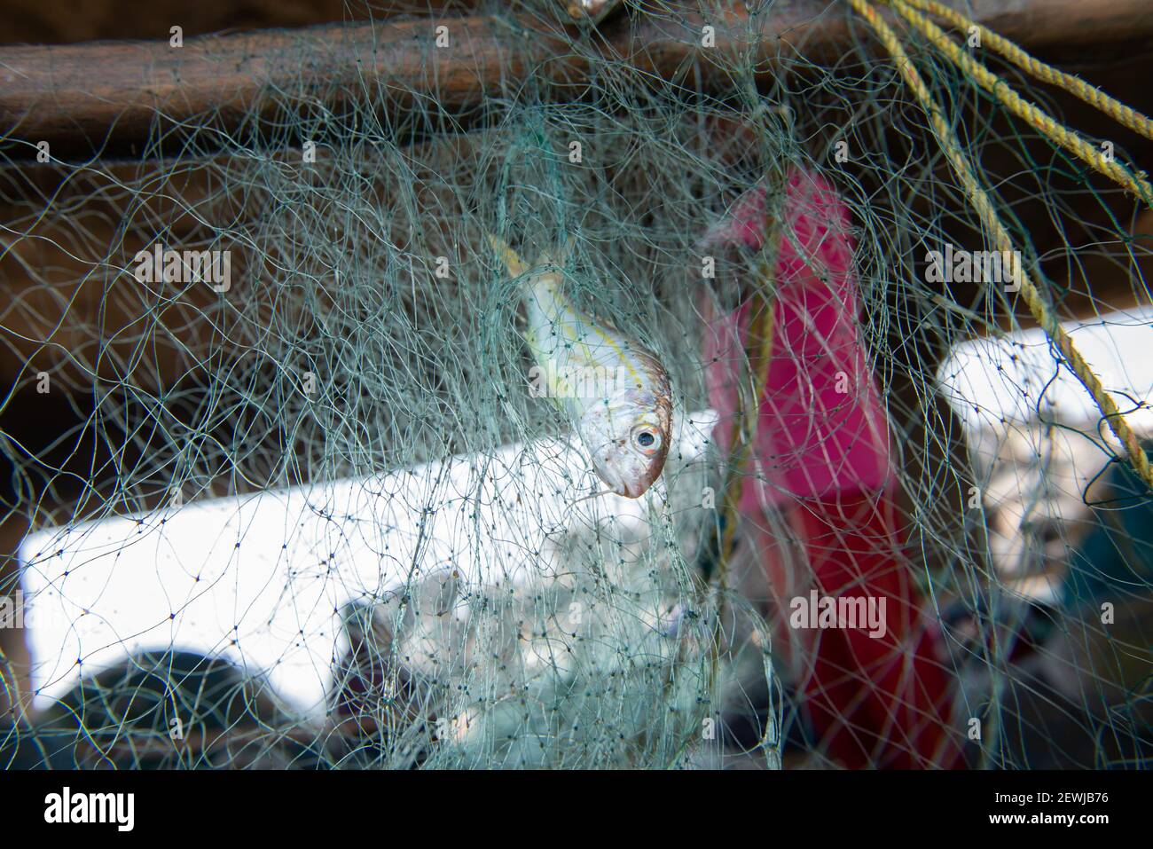 Pondicherry, Indien - 2. März 2021: Fischer in der Nähe des alten Hafens von Pondicherry Stockfoto