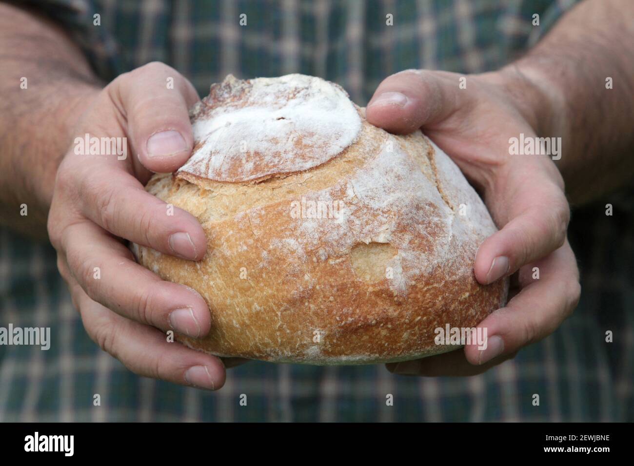 Die Zeit der Fastenzeit. Brot teilen. Haute-Savoie. Auvergne Rhône-Alpes. Frankreich. Europa. Stockfoto