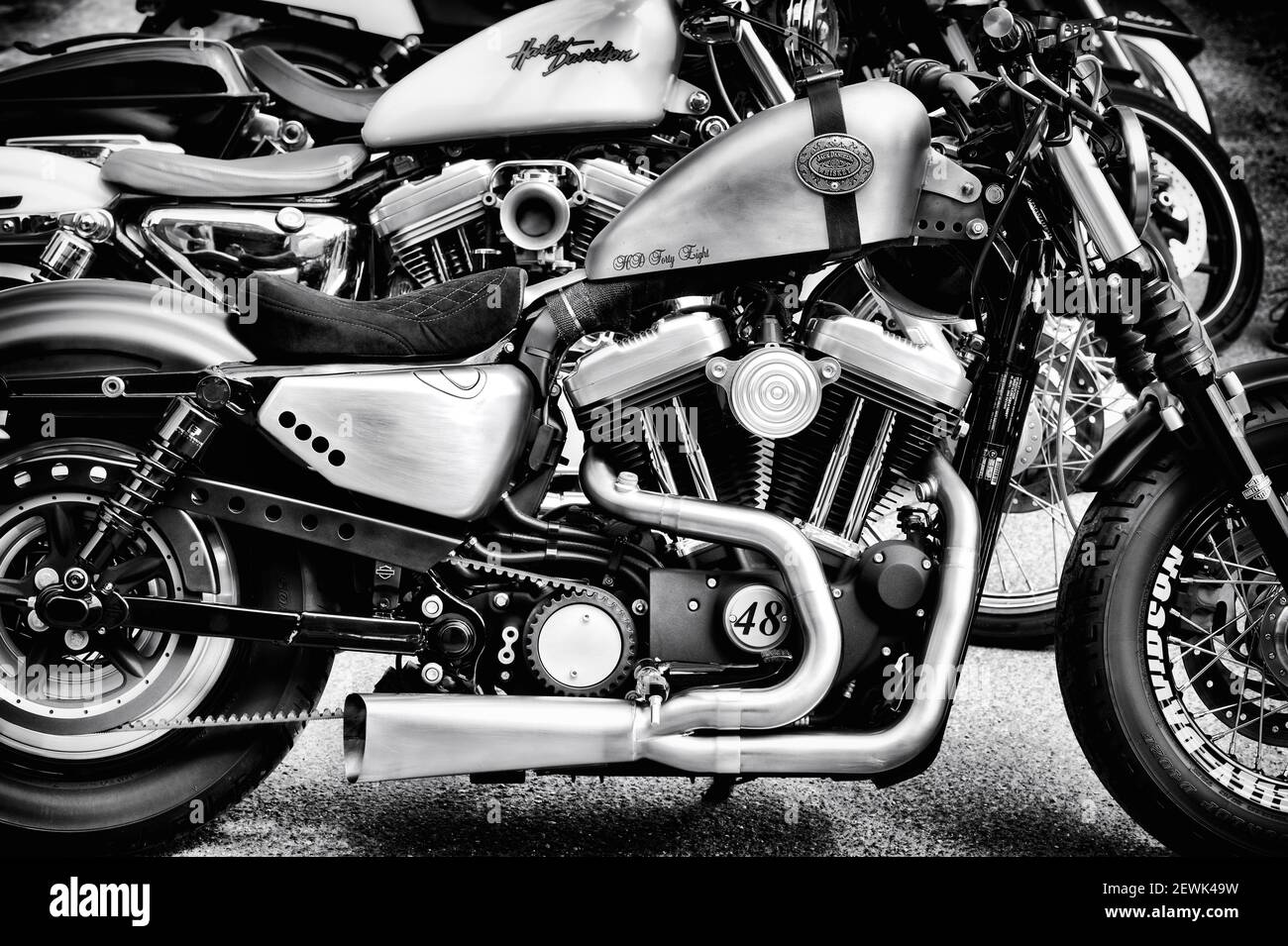 Harley Davidson 48 Custom Motorrad. Schwarz und Weiß Stockfoto