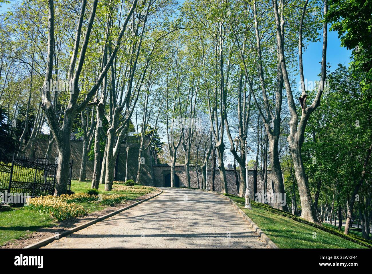 Gulhane Park ist ein historischer Stadtpark in Istanbul, Türkei. Stockfoto