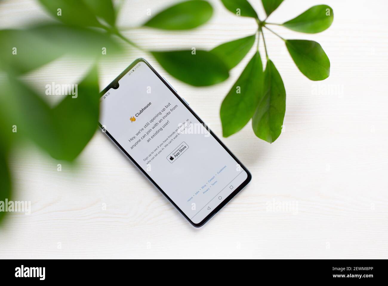 Dammam, Saudi-Arabien - 18. Februar 2021: Beliebte Clubhouse Drop in Audio-Chat-Anwendung noch nicht für Android-Nutzer Stockfoto