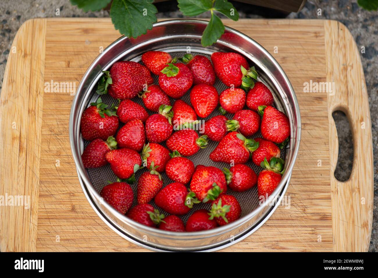Frische, saubere Erdbeeren Stockfoto