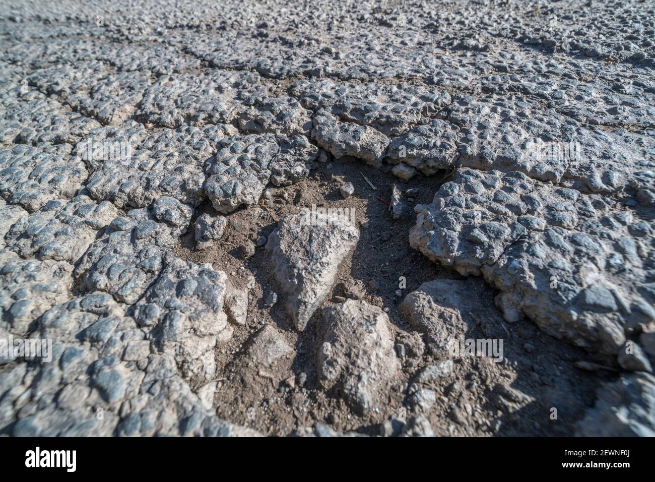 Große Nahaufnahme eines frostgebrochenen Krokodils gerissene Asphaltoberfläche, die zu einem Schlagloch führt. Für schlechte Straßeninstandhaltung, schlechte Straßen, schlechte Qualität. Stockfoto