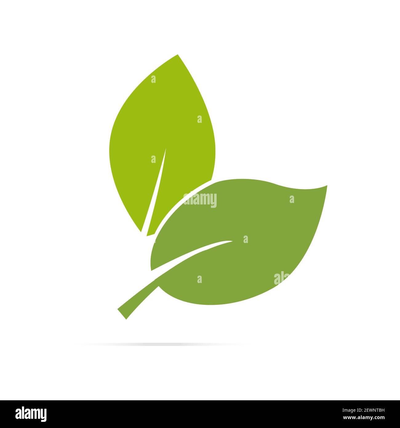 Blatt-Logo organische Label eco Symbol Vektor isoliert Hintergrund. Stockfoto