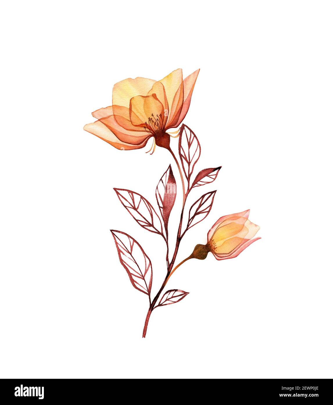 Aquarell Rose Zweig. Vintage gelbe Blüten mit Knospe und Blätter isoliert auf weiß. Handbemaltes Blumenarrangement. Botanische Abbildung für Stockfoto