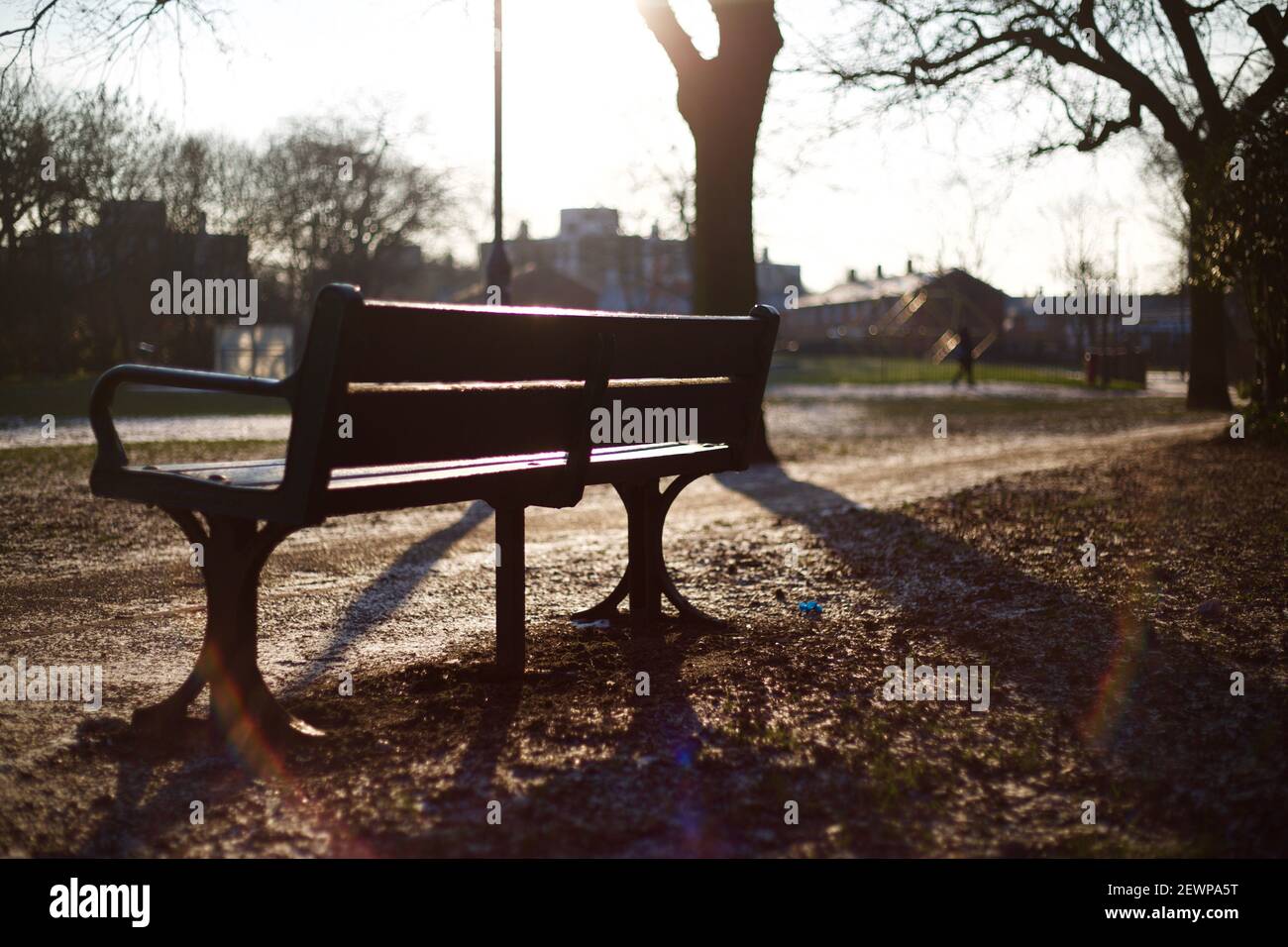 Leere Parkbank in der Sonne in Earlsfield, London Stockfoto