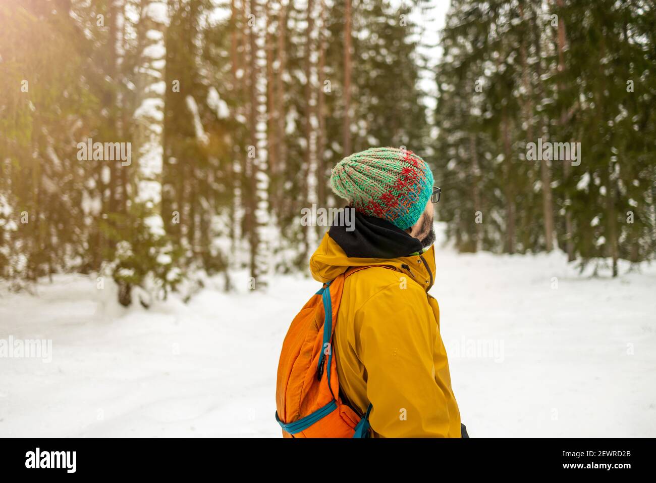 Rückansicht des Mannes, der einen Spaziergang durch den Wald genießt Im Winter Stockfoto