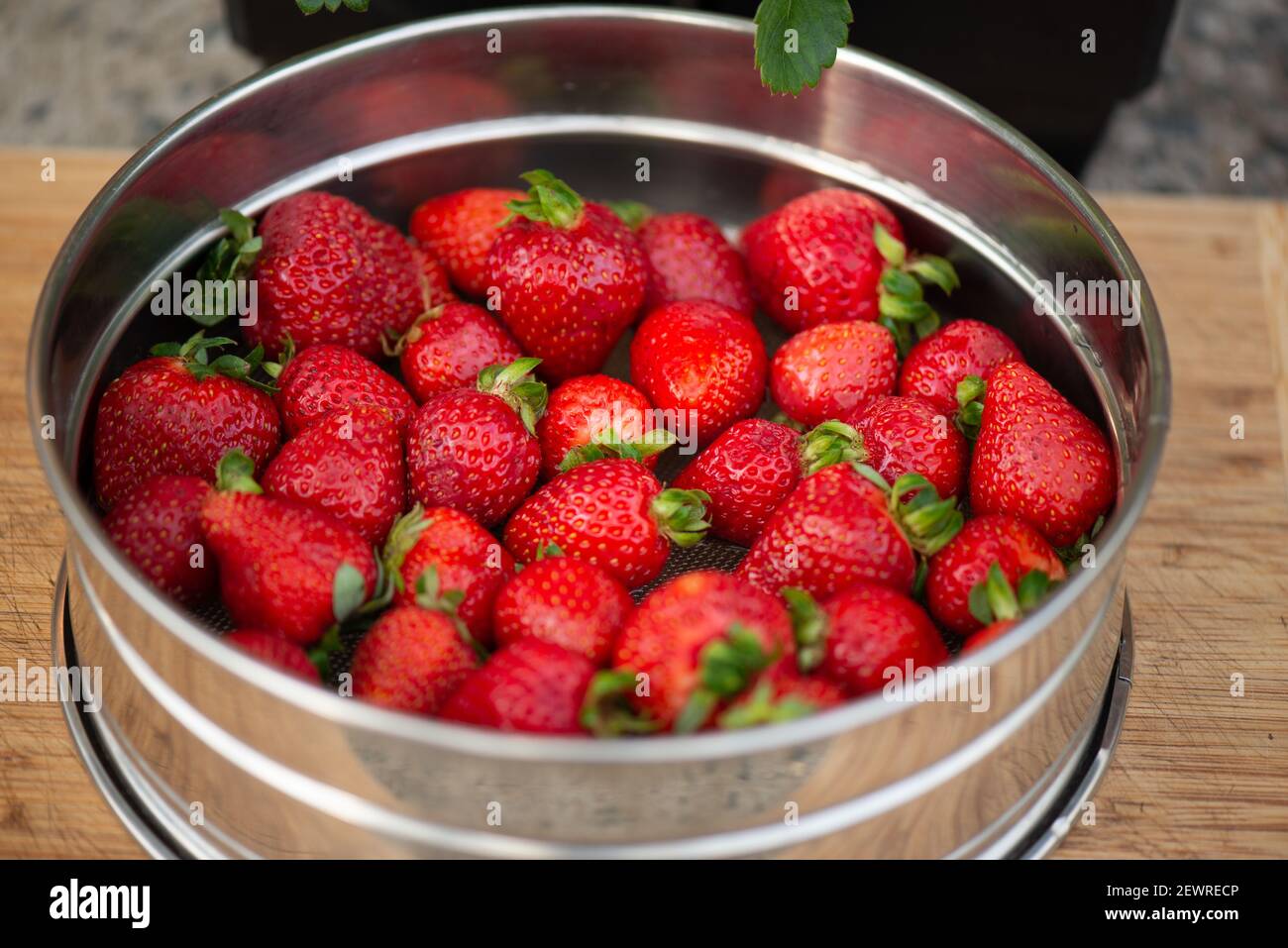 Frische süße Erdbeeren Stockfoto