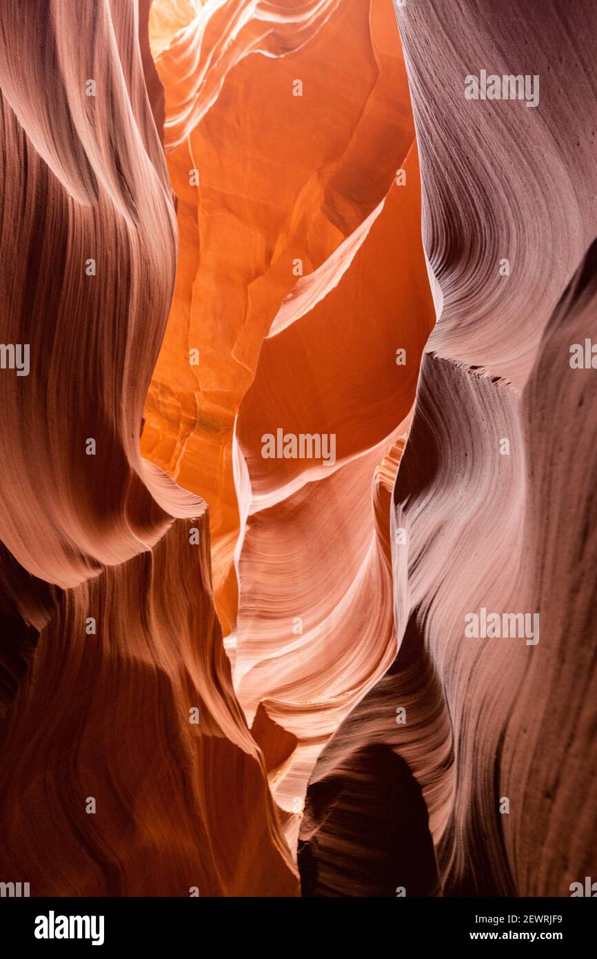 Wassererodierter Navajo-Sandstein bildet einen Slot Canyon im Upper Antelope Canyon, Navajo Land, Arizona, USA, Nordamerika Stockfoto