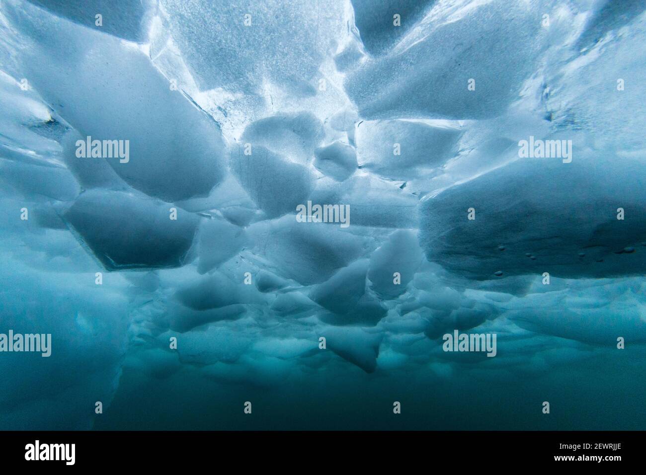 Unterwasseransicht von dichtem Brash Ice auf Cuverville Island, Erra Channel, Antarktis, Polarregionen Stockfoto