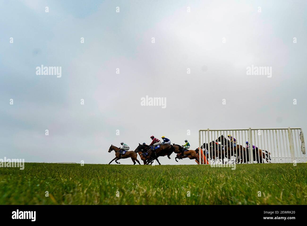 Läufer und Fahrer überwinden bei der Get Daily Tips bei racingtv.com Novizen-Hürden auf der Wincanton Racecourse eine Hürde. Bilddatum: Mittwoch, 3. März 2021. Stockfoto