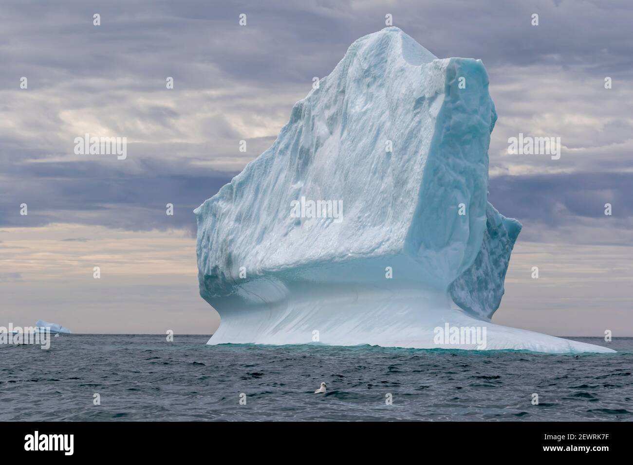 Riesige Eisberge am Kap Brewster, dem östlichsten Punkt der zerklüfteten und bergigen Savoia-Halbinsel, Grönland, Polarregionen Stockfoto
