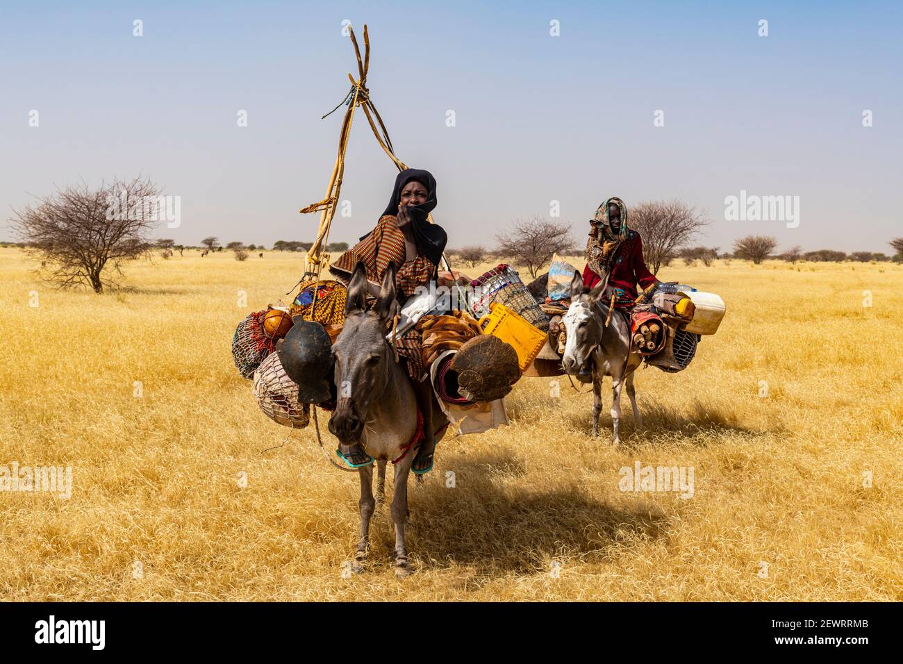 Peul-Frau mit ihren Kindern auf ihren Eseln in der Sahelzone, Niger, Afrika Stockfoto