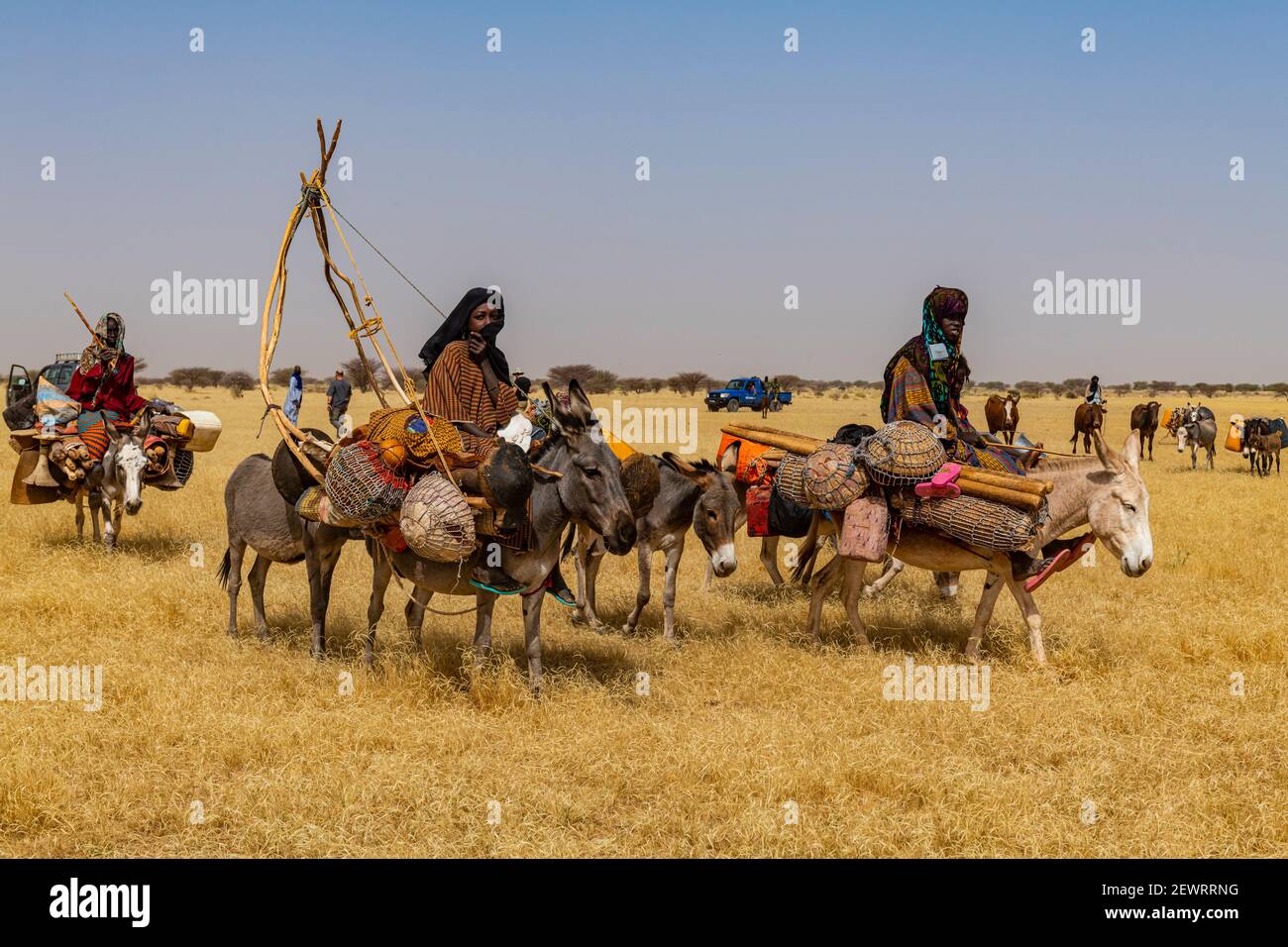Peul-Frau mit ihren Kindern auf ihren Eseln in der Sahelzone, Niger, Afrika Stockfoto