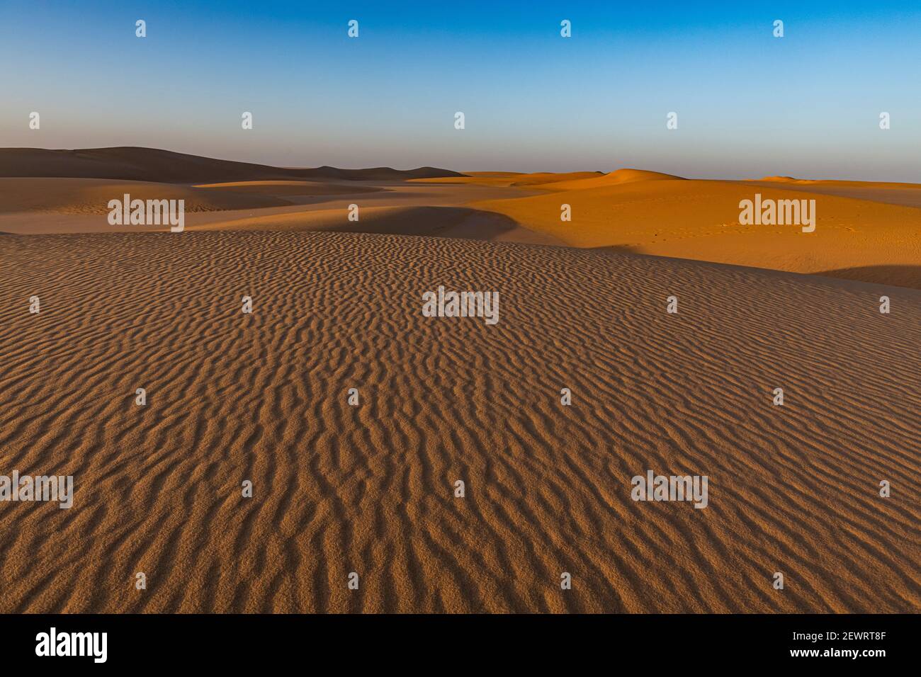 Wellen im Wüstensand, Sahara, Niger, Afrika Stockfoto