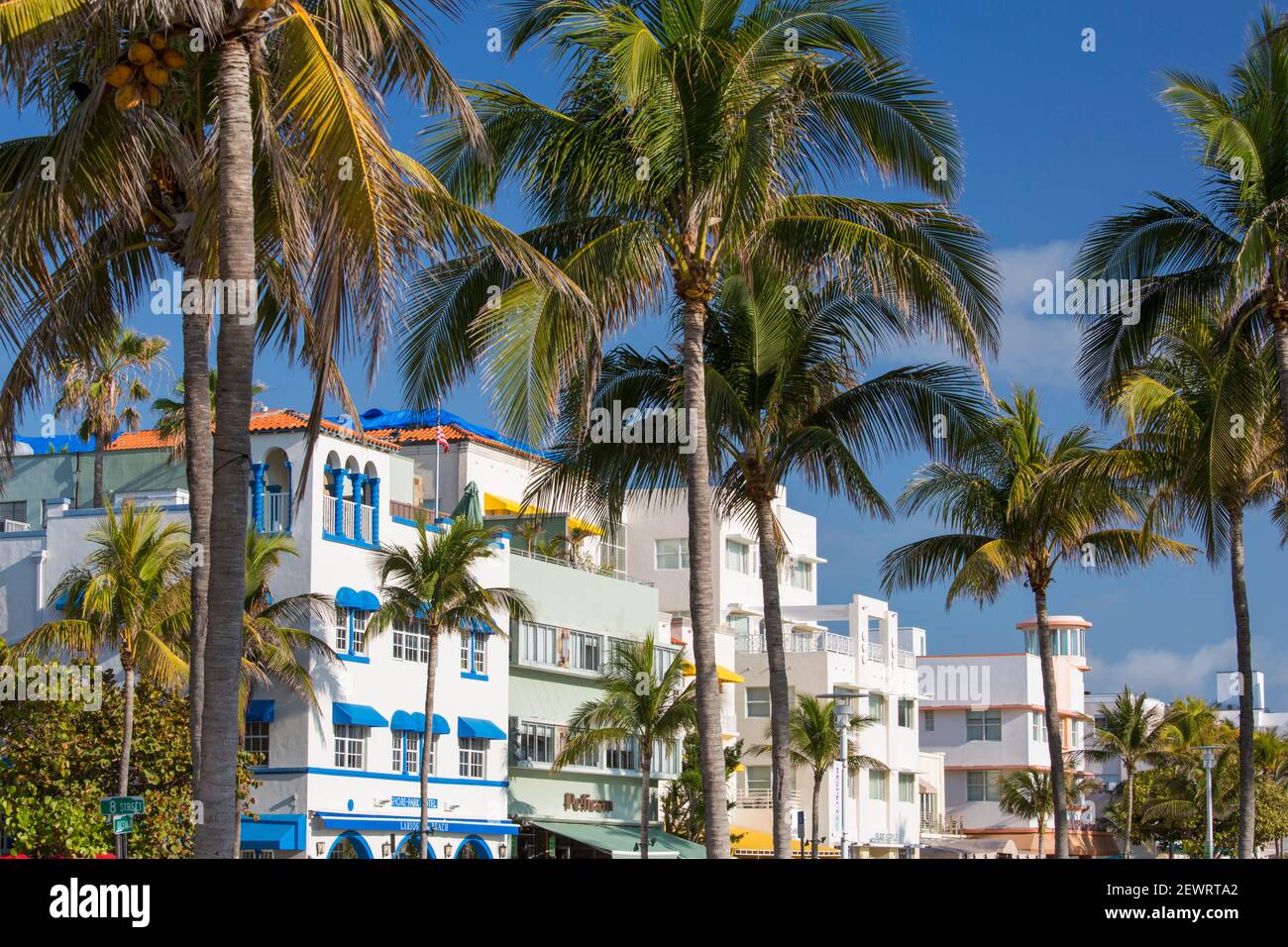 Farbenfrohe Hotelfassaden und imposante Palmen, Ocean Drive, historisches Art déco-Viertel, South Beach, Miami Beach, Florida, USA Stockfoto