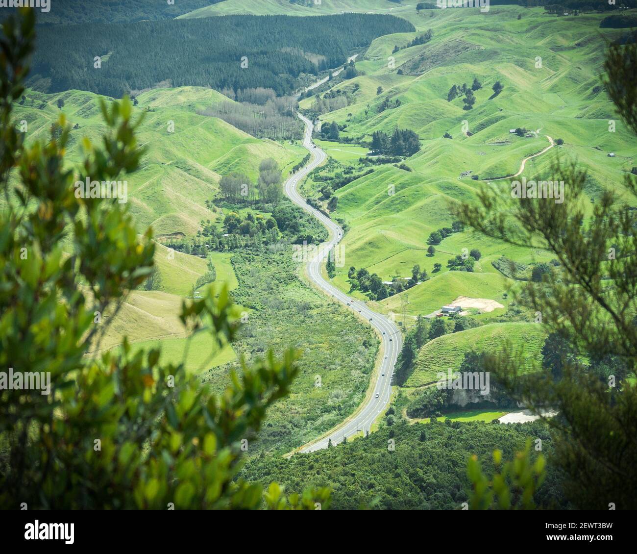 Kurvenreiche Straße, die durch grüne, von Laub umrahmte Hügel führt. Aufgenommen vom Rainbow Mountain in der Region Waikato in Neuseeland. Stockfoto