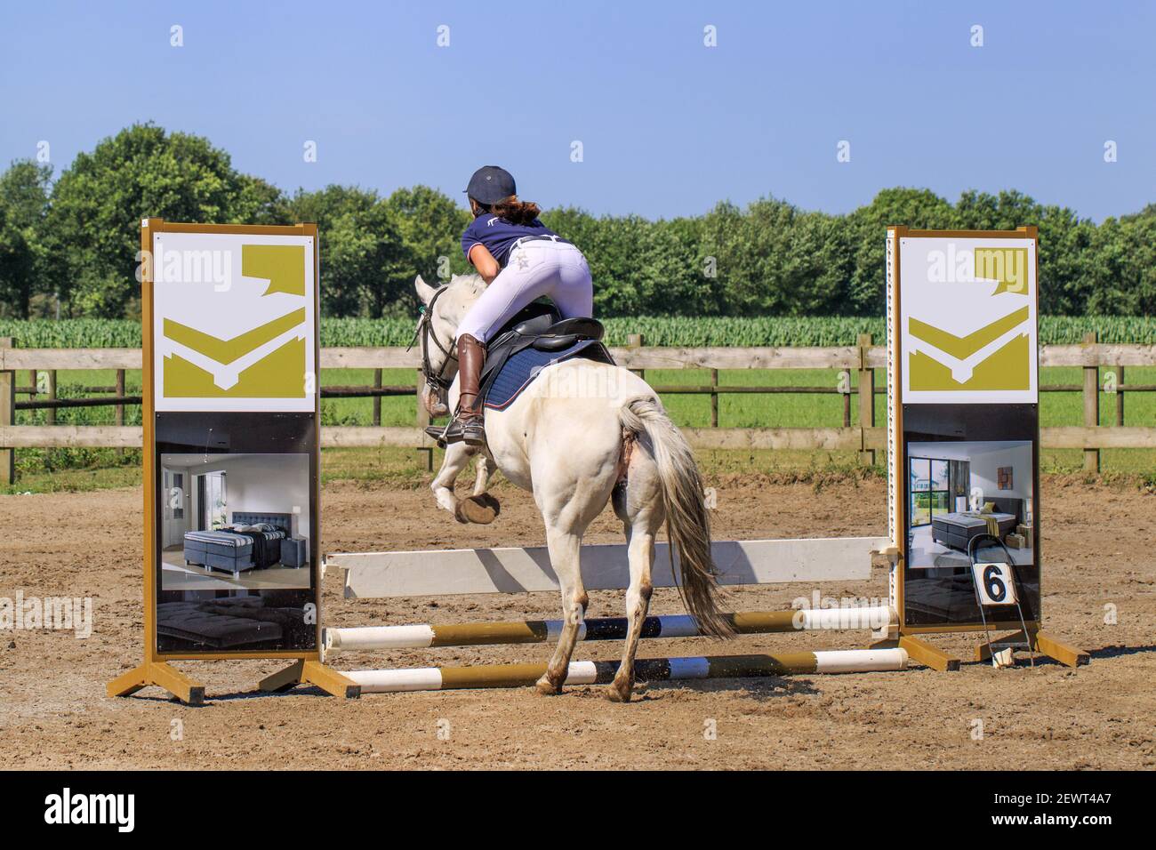 Frau in Wettkampfkleidung springen mit ihrem Pferd. Holland hat 500.000 Reiter und 450.000 Pferde. 1.500 Reitassoziationen Stockfoto
