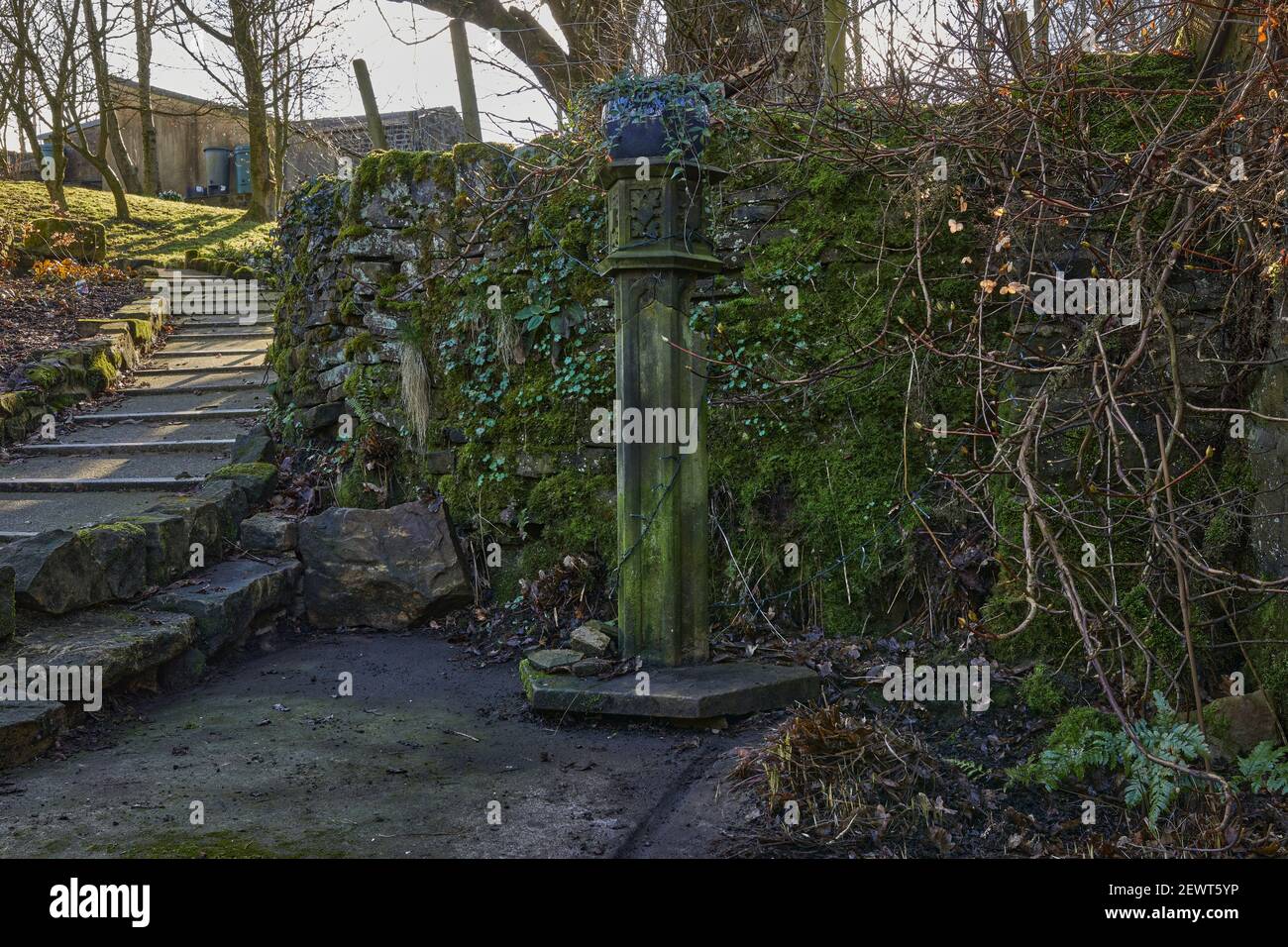 Dekorative Steinsäule mit dem eingetopften Periwinkle freut sich auf Feder Stockfoto