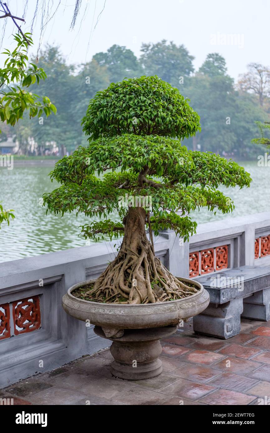 Impressionen vom Ho Guom See in Hanoi, Vietnam. Stockfoto