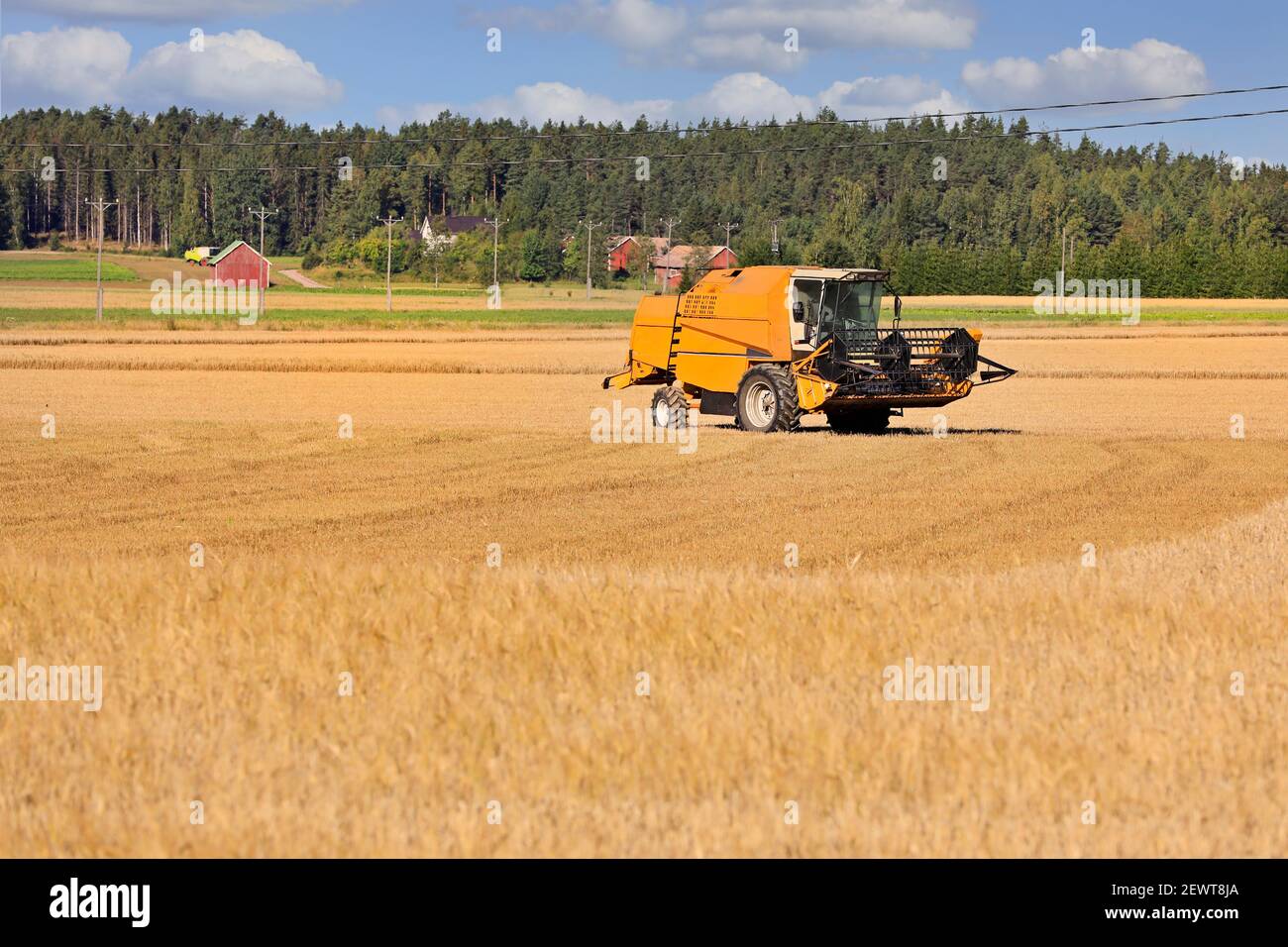 Landwirtschaftliche Landschaft mit Gelb kombinieren auf teilweise geerntetem Getreidefeld an einem schönen Herbsttag. Platz kopieren, keine Personen, Branding entfernt. Stockfoto