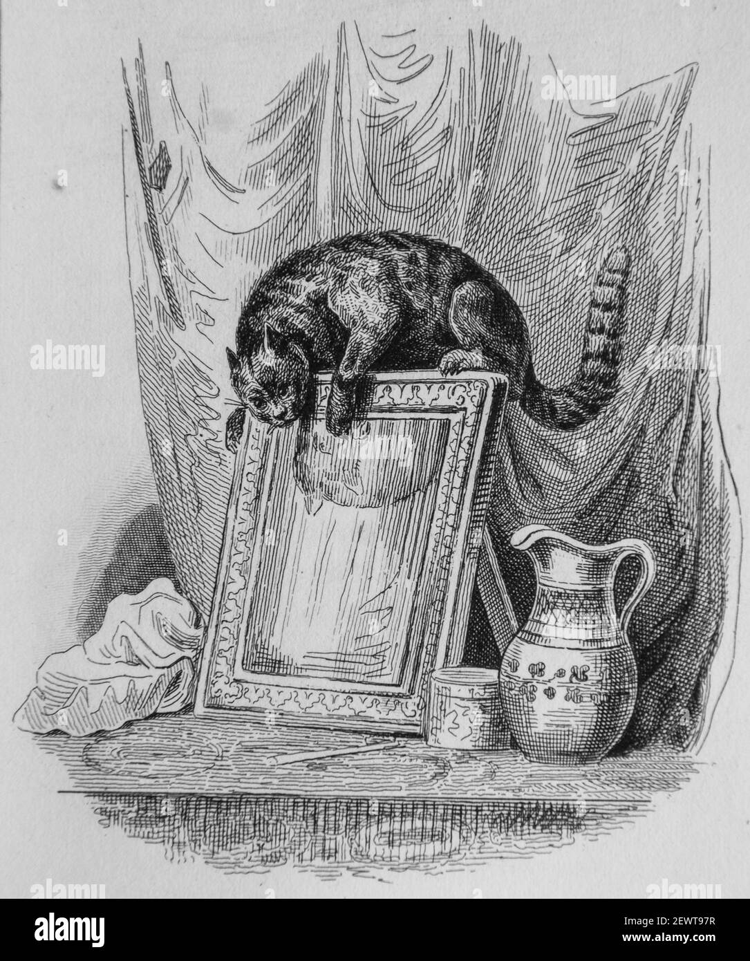 le Chat et le miroir, Fables de florian illustrrees par Victor adam ,editeur delloye,desme 1838 Stockfoto