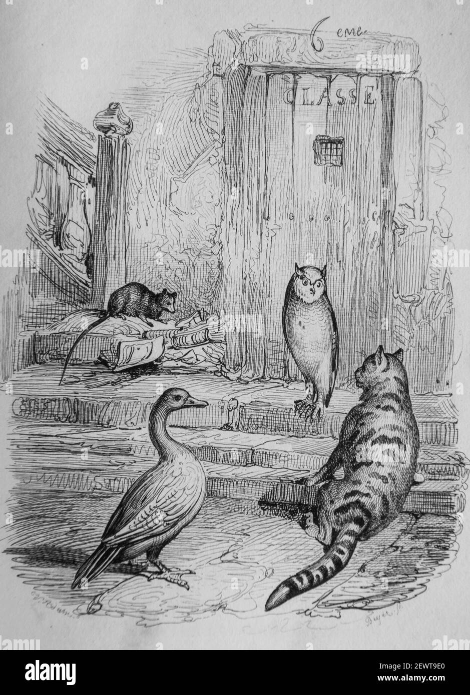 le hibou le Chat l'oison et le Rat, Fables de florian illustres par Victor adam ,editeur delloye,desme 1838 Stockfoto
