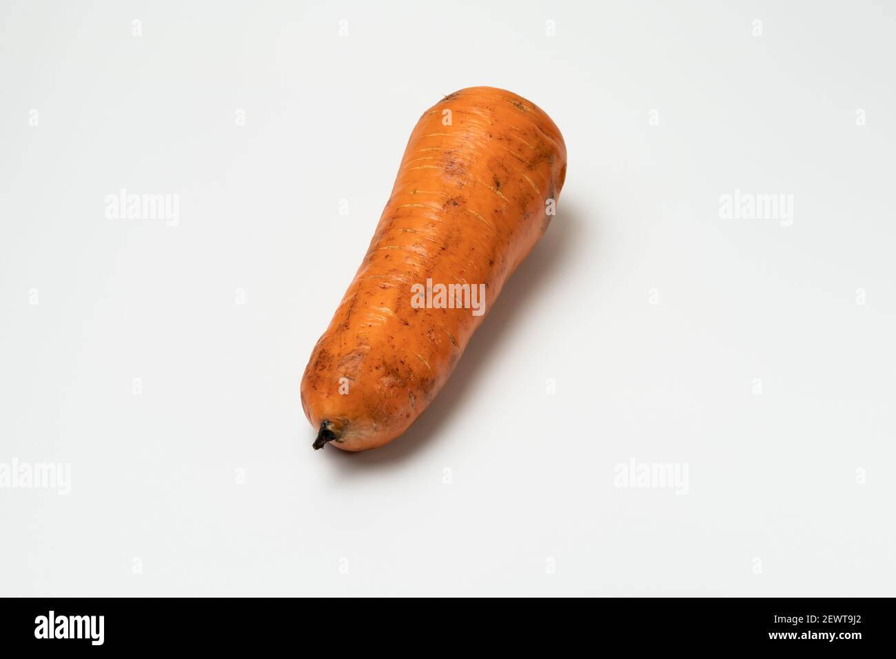 Ich wusch die verschmutzte Karotte hart, aber sie war immer noch ein wenig schmutzig. Stockfoto