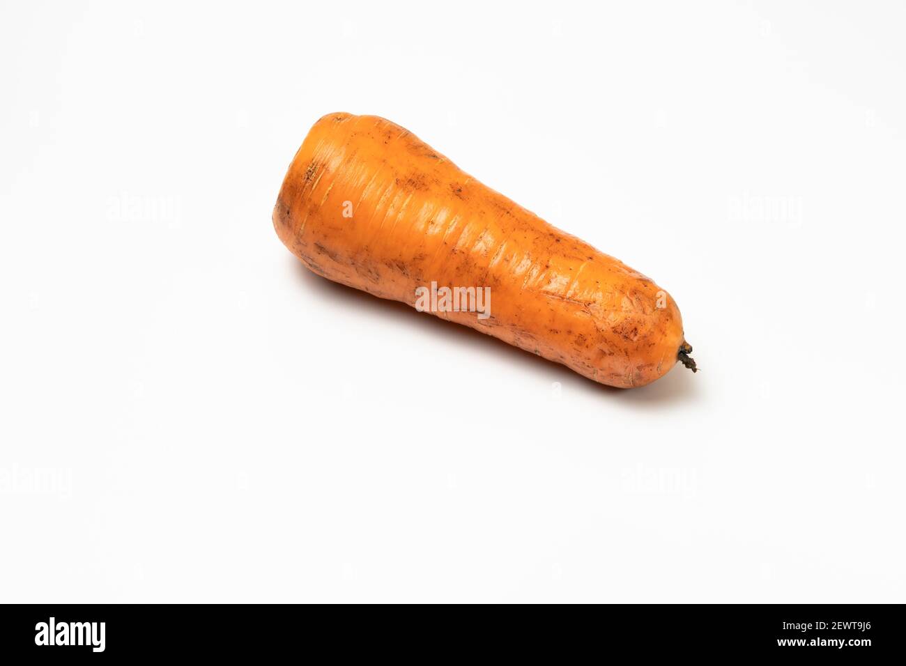 Ich wusch die verschmutzte Karotte hart, aber sie war immer noch ein wenig schmutzig. Stockfoto