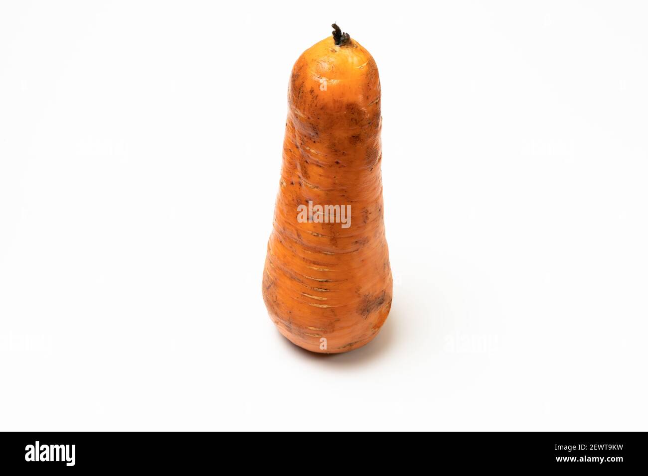 Ich wusch die verschmutzte Karotte hart, aber sie war immer noch ein wenig schmutzig. Stockfoto