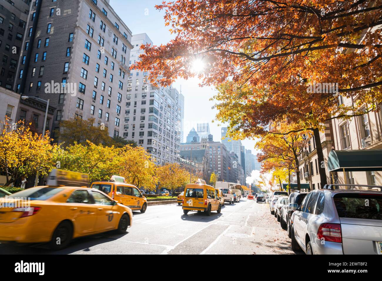 Uptown Manhattan Park Avenue Verkehr geht durch unter steigenden Stamm zwischen den Reihen der Herbstblätter Farbe Bäume in New York City NY USA. Stockfoto