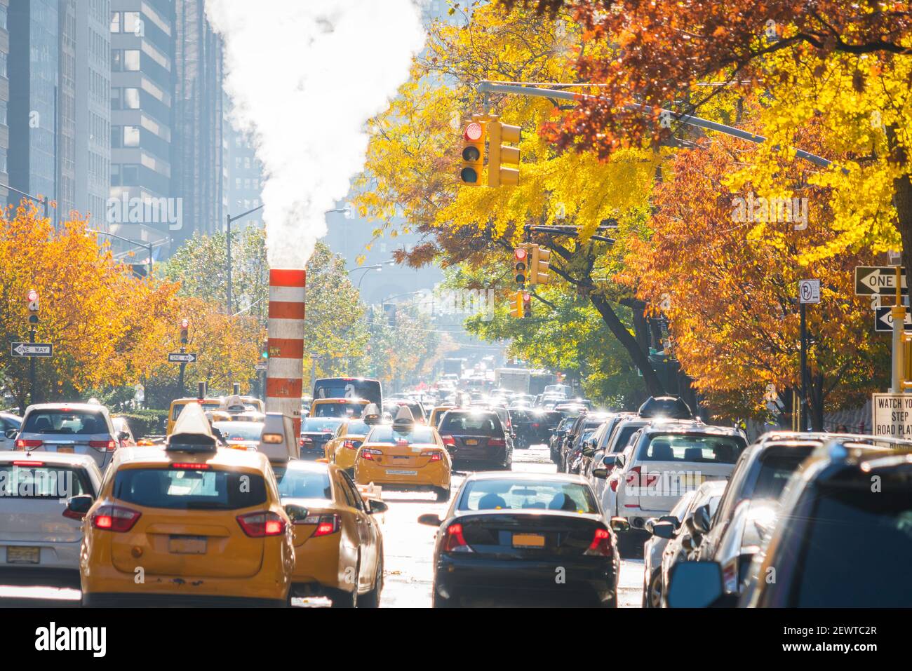 Uptown Manhattan Park Avenue Verkehr geht durch unter steigenden Stamm zwischen den Reihen der Herbstblätter Farbe Bäume in New York City NY USA. Stockfoto