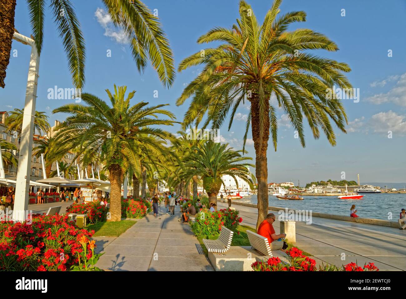 Waterfront und die Promenade im Zentrum von Split, Dalmatien, Kroatien. Stockfoto