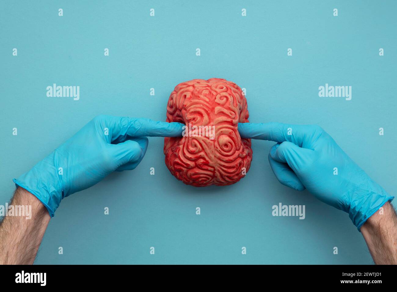 Ein Arzt in blauen Handschuhen stochend ein Gehirn. Konzept der psychischen Gesundheit Stockfoto