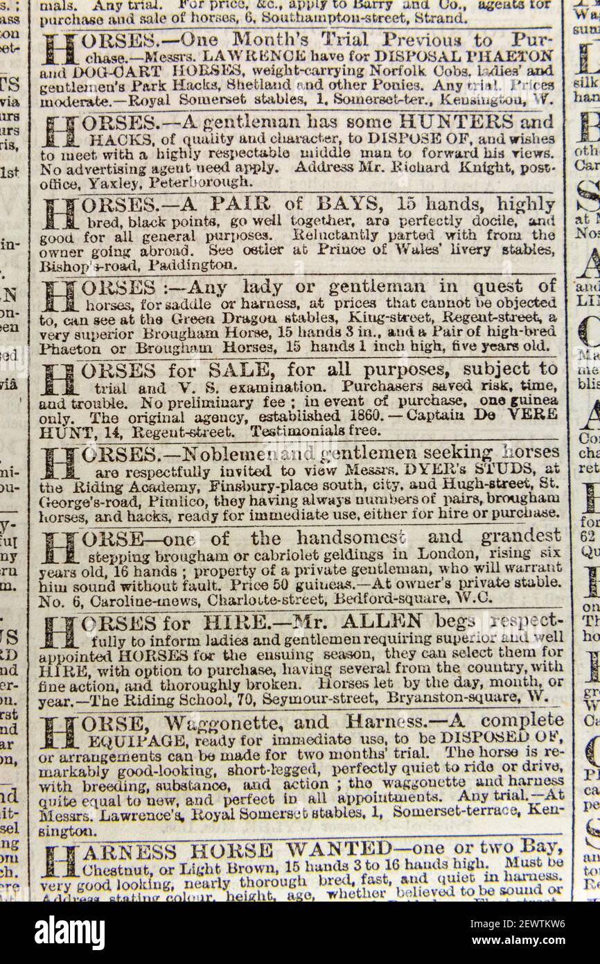 Werbung für den privaten Verkauf von Pferden in der Times London am Donnerstag, den 24th 1864. März. Stockfoto