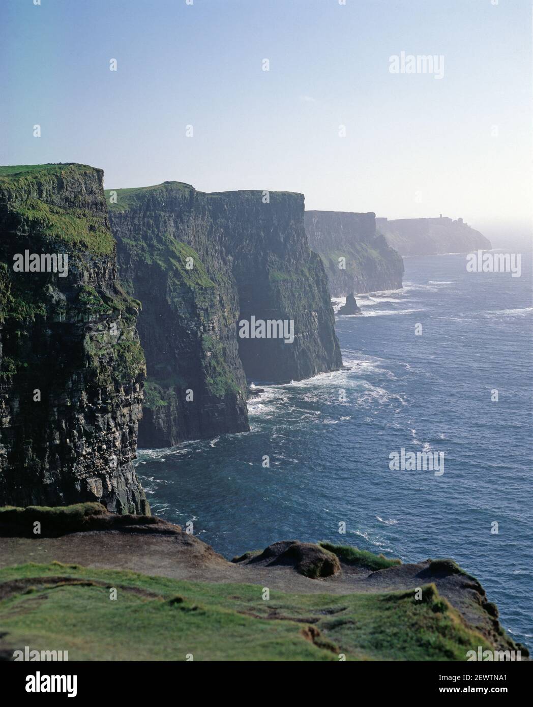 Irland. County Clare. Blick auf die Küste. Cliffs of Moher. Stockfoto