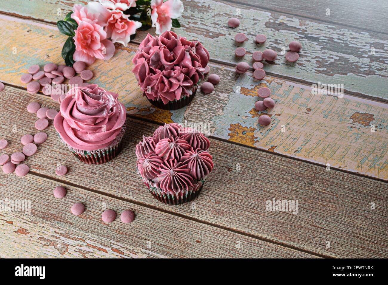 Drei Schokoladen-Cupcakes mit rosa Buttercreme. Neben Rubinschokolade-Callets (mit Kopierraum). Stockfoto