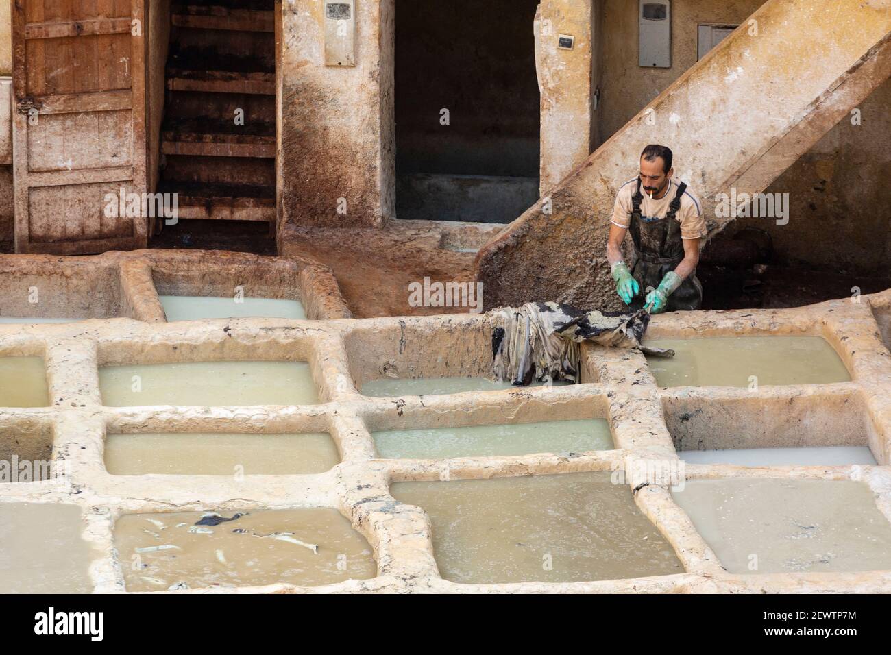 Ein einheimischer Mann, der Tierhäute neben Honigkämmen in Erdgruben, Chouara Tannery, Fes, Marokko, umgeht Stockfoto