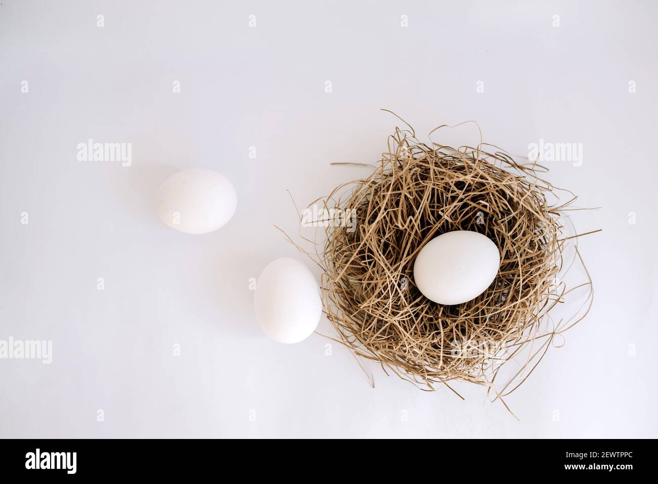 Weißes Ei in einem Nest und zwei weiße Eier auf Ein weißer Hintergrund Stockfoto