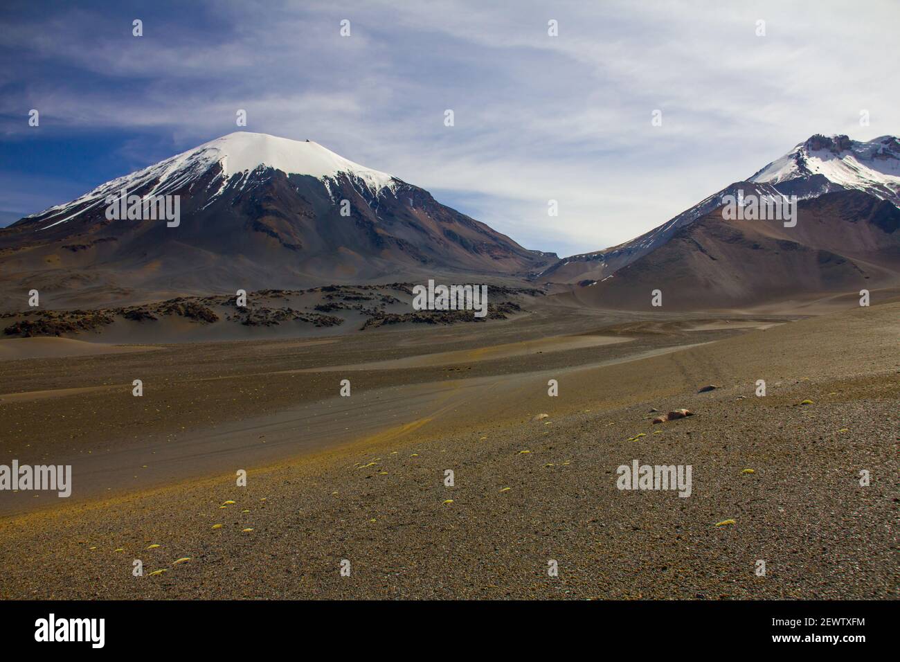 Vulkane aus Parinacota und Pomerade - Bolivianisches Altiplano, Südamerika Stockfoto